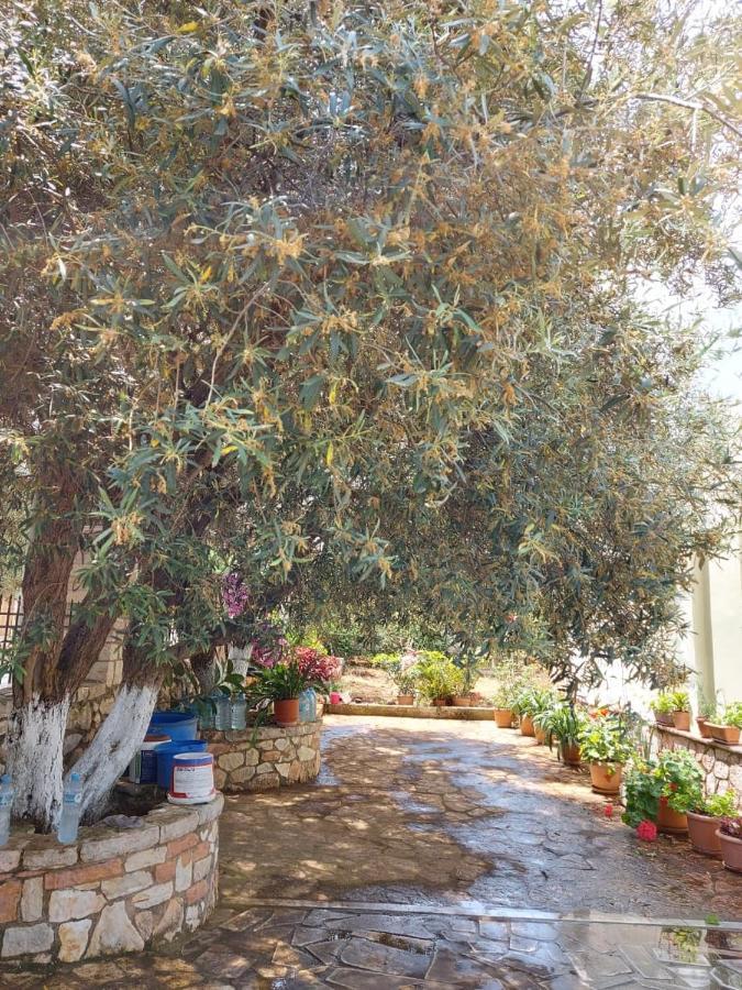 Vila Rexhaj كساميل المظهر الخارجي الصورة