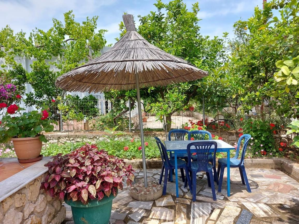 Vila Rexhaj كساميل المظهر الخارجي الصورة